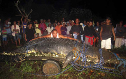 Giant Crocodile 1